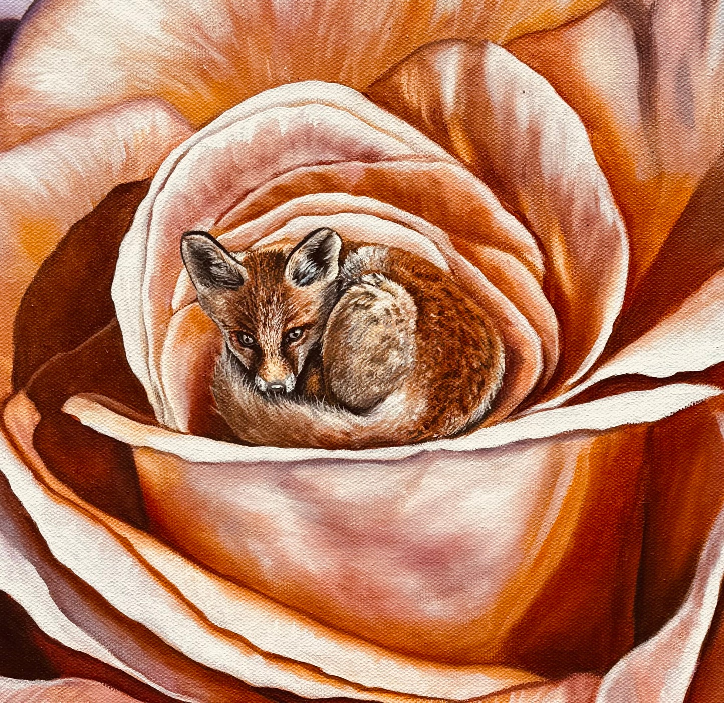 The Fox in the Rose