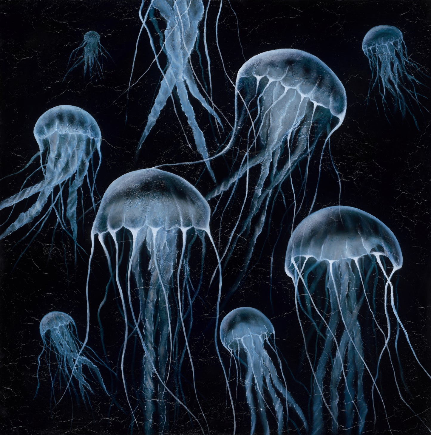 "Dance of the Jellies" Print